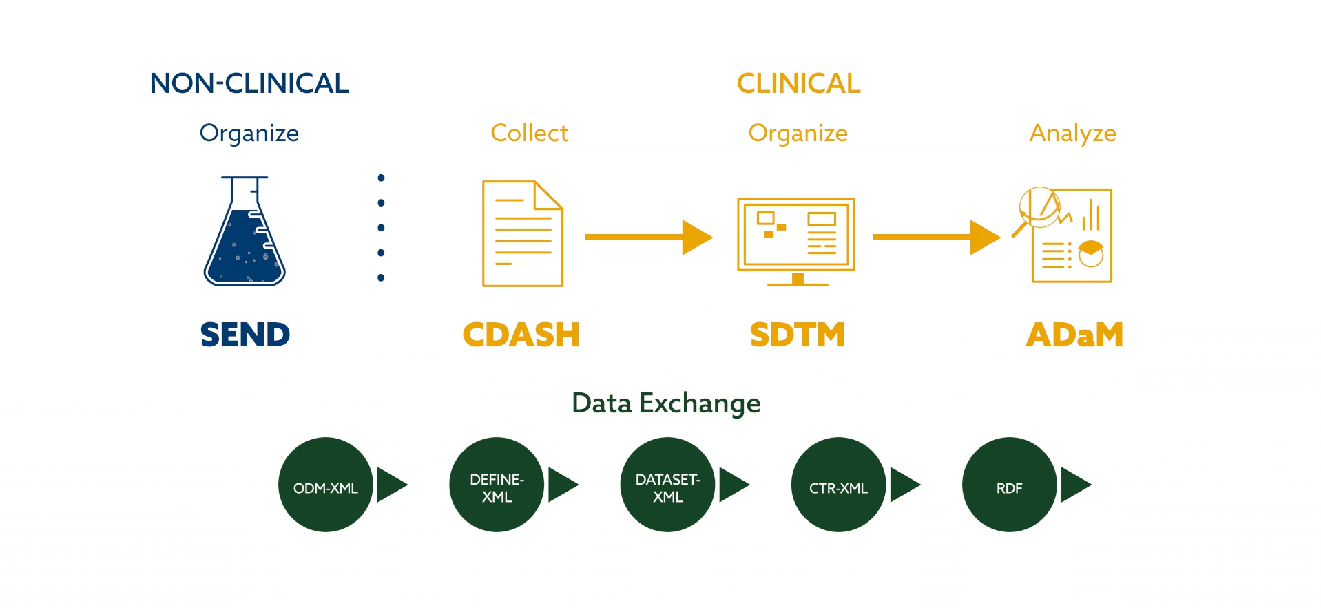 Clinical Trial Data Management Standardization
